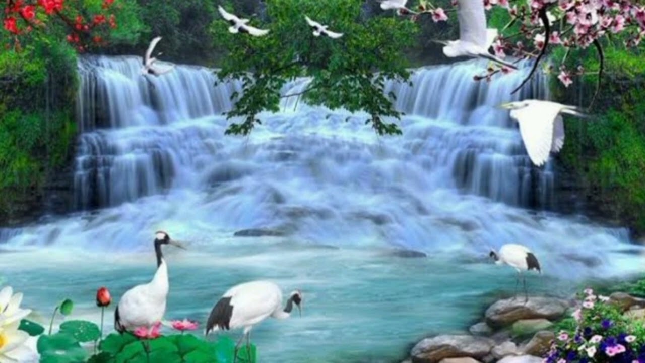 سورة الكهف {الاية من 46 الى 110}