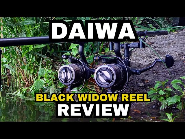 DAIWA BLACK WIDOW REEL REVIEW**Carp Fishing ꟾ February 2024 