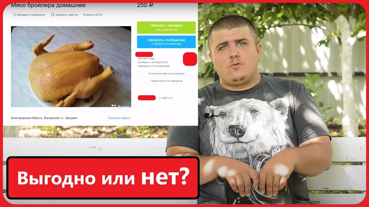 БРОЙЛЕРЫ, ВЫГОДНО или НЕТ? Выращивание цыплят на комбикорме