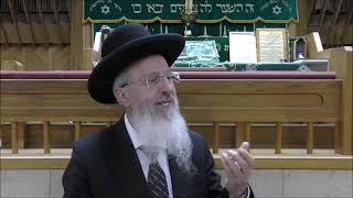 הרב אברהם יוסף שליט"א האם צריך לחטוף את האפיקומן ערב פסח תשפ"א
