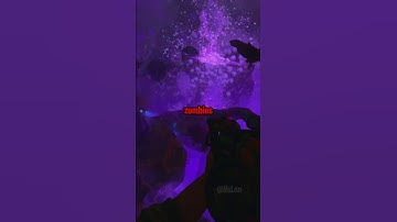 Best Glitch on Every Single Black Ops 2 Zombies Map!