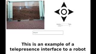 Telepresence Interface Demonstration