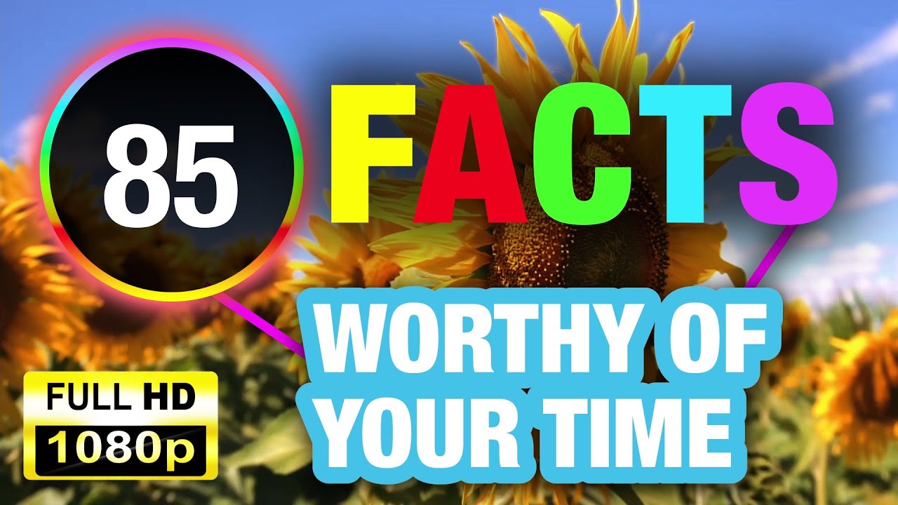 85 mind blowing facts that will make your brain hurt youtube