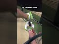 Pov: The middle of the bat #cricket #pov #cricketlover #meta #metaglasses
