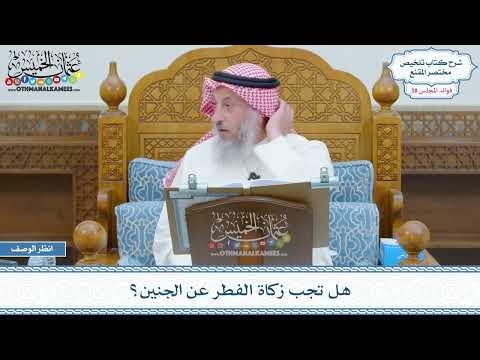 1981 - هل تجب زكاة الفطر عن الجنين؟ - عثمان الخميس