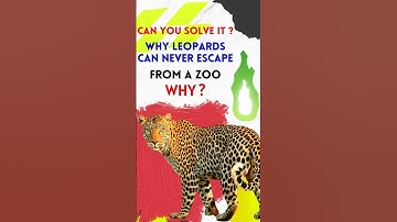 𝐑𝐢𝐝𝐝𝐥𝐞 𝐰𝐢𝐭𝐡 𝐀𝐧𝐬𝐰𝐞𝐫 | Riddle No.26 | 𝐑𝐢𝐝𝐝𝐥𝐞𝐬 𝐚𝐧𝐝 𝐏𝐮𝐳𝐳𝐥𝐞𝐬 | #riddle #riddlewithanswer #puzzle #shorts