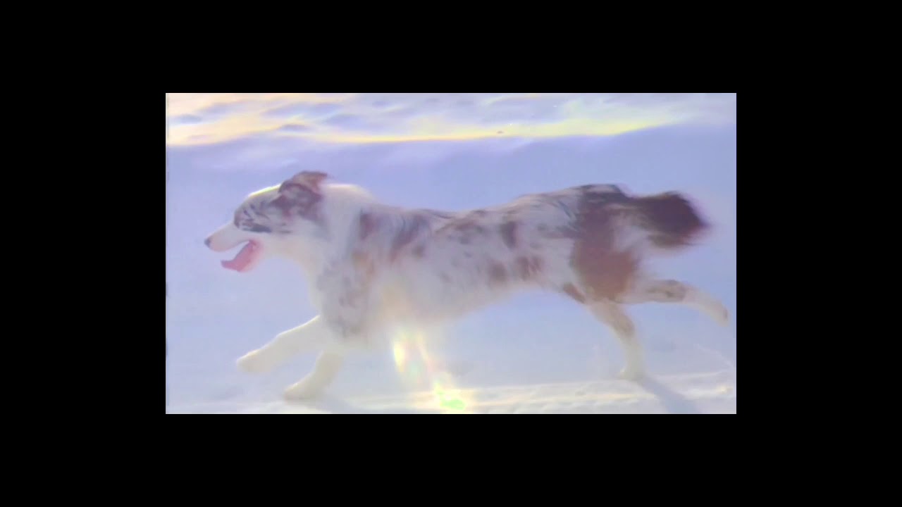 Small Feet "Ice Storm" (Official Video)