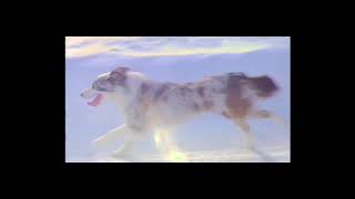 Small Feet Ice Storm Official Video