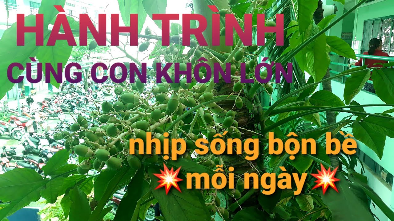 CHÀO NĂM HỌC MỚI💖CÙNG CON