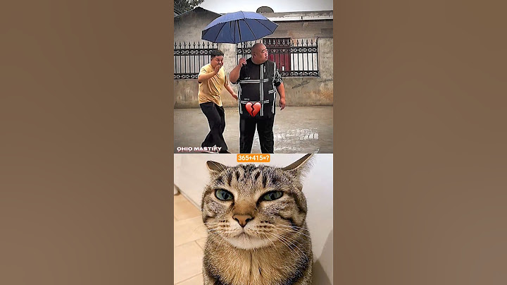 I am confused 😂🤣 #cat #funny #tiktok #memes