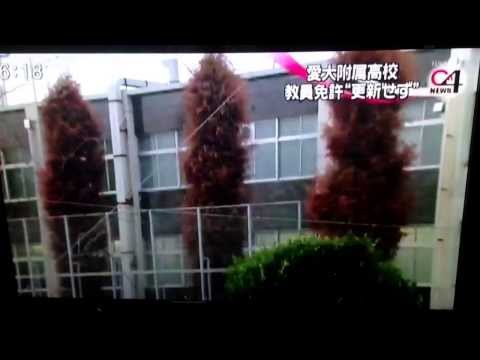 名古屋 大学 教育 学部 附属 高校 偏差 値