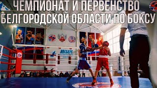 Чемпионат И Первенство Белгородской Области По Боксу 2024 / 02 #Video #Live #Sport #Boxing