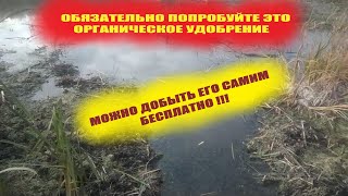 Лучшие органические удобрения для сада и огорода,которые приготовила нам сама природа