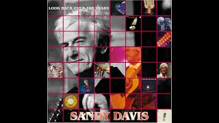 Bright Lights Big City - Sandy Davis