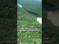 The Majestic Power of Guyana’s Hidden Giant Waterfall 😲