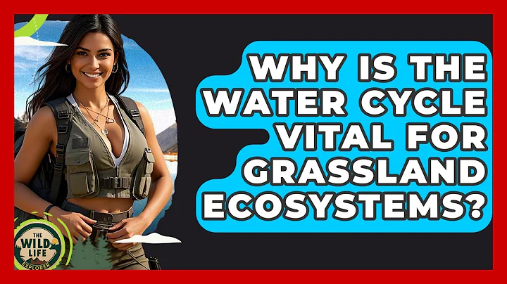 Why Is The Water Cycle Vital For Grassland Ecosystems? - The Wild Life Explorer
