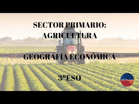 Video: ¿Cuáles son las actividades no agrícolas?