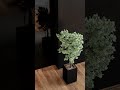 BURKOVSKY - авторские двери с уникальным дизайном и премиум качеством #door #doors #двери