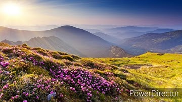 تلاوة هادئة أرح بها بالك ومسمعك للقارئ الشيخ ياسر الدوسري "قل من رب السماوات والأرض قل الله"