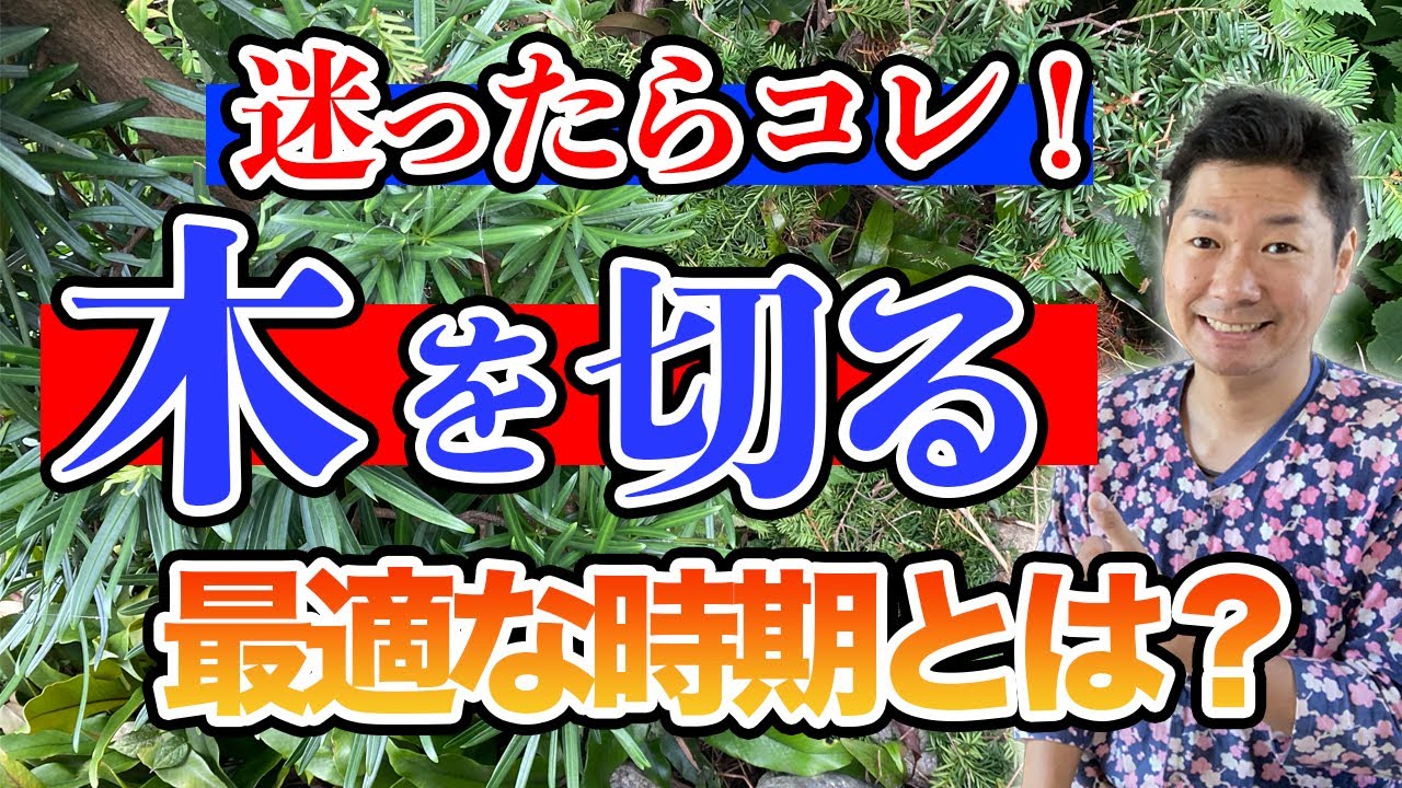 Problem-solving] The answer to when to cut down trees is revealed