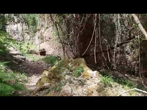 Νεμουτα καταρρακτης Αποκαλυψη