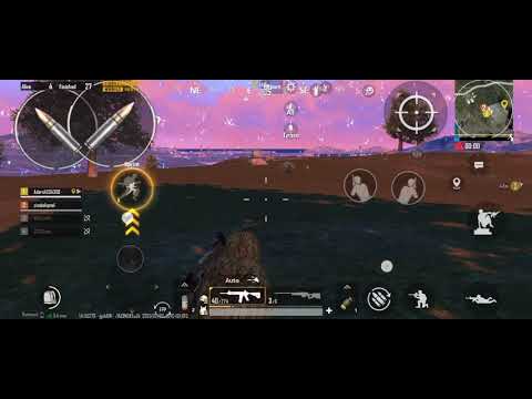 29 kill chicken dinner