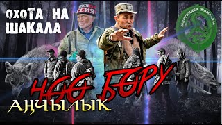картинка: Охоата на Шакала Кыргызстан