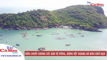 Hòn Chuối chung sức bảo vệ rừng, động vật hoang dã mùa khô hạn