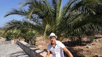 GS Mining new big company project