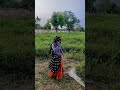 खेत पर @sunitaJhurawat