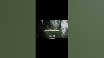 #اكسبلور #تلاوة_خاشعة #المصحف #quran #لايك #راحة_نفسية #قرآن #explore #كرومات #المنشاوي #سورة_غافر