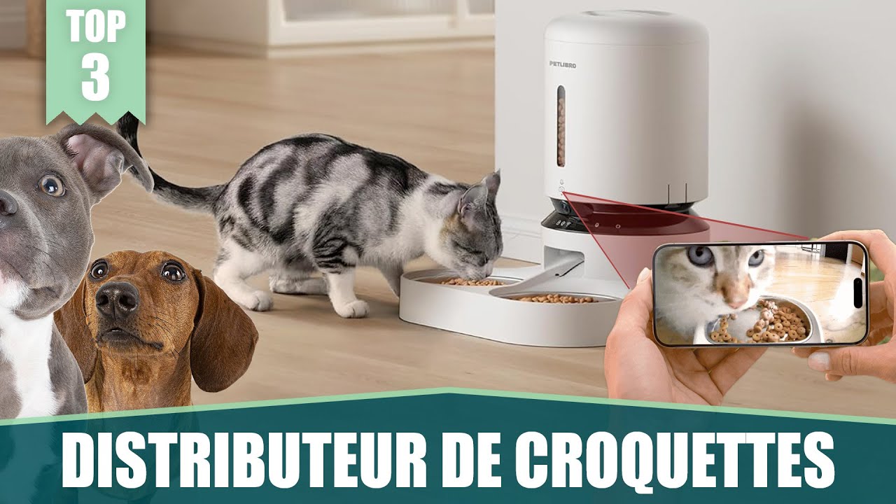 MEILLEURS DISTRIBUTEURS DE CROQUETTES AVEC CAMÉRA (CHATS ET CHIENS)