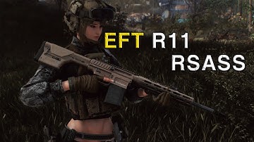 Fallout 4 EFT R11 RSASS