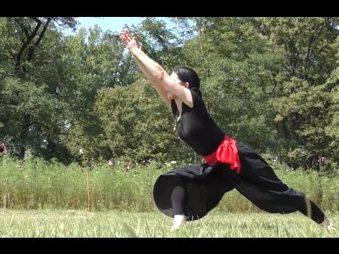 カラリパヤットゥ ボディコントロール 基本のポーズ編　 Kalaripayattu