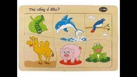 TNXH LỚP 2 - BÀI 15 ĐỘNG VẬT SỐNG Ở ĐÂU (tiết 1)