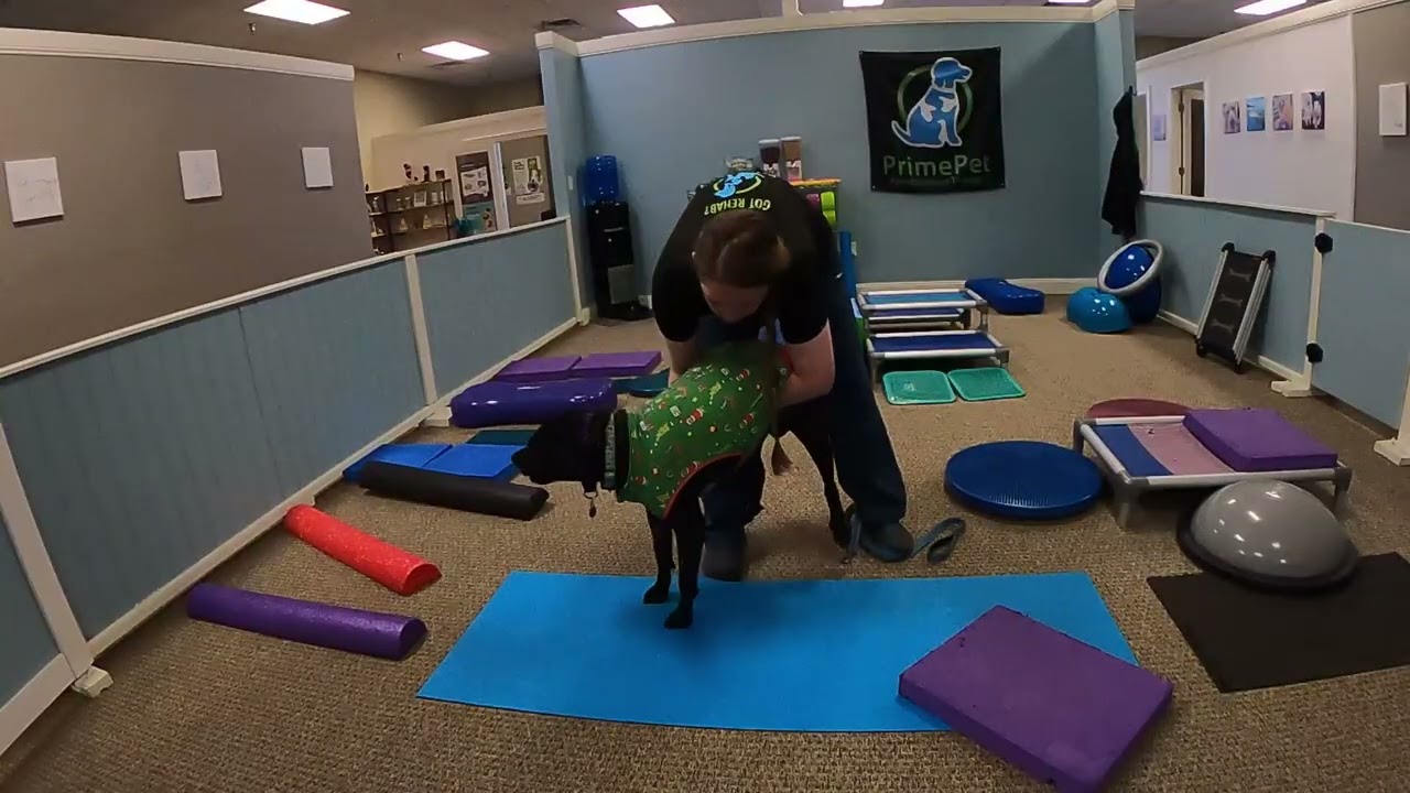 12-19-25 Bella Bold. Range of Motion