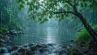 Heavy Rain on the Lake in the Forest to Increase Deep Sleep π§οΈ INSOMNIA Relief, Relax, Meditation