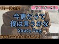 今更だって僕は言うかな/Saucy Dog/ギター弾き語り練習用動画(コード/ストローク/歌詞/歌)