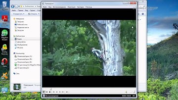 Compress videos without quality loss