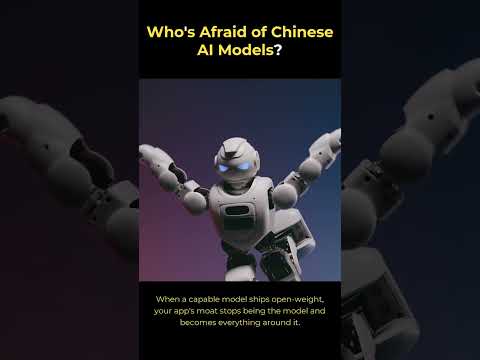 Who's Afraid of Chinese AI Models?
