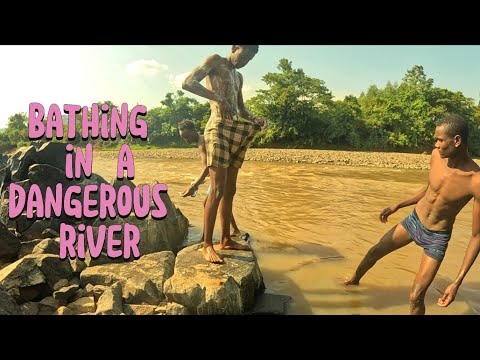 Maize Harvest River Vibes With Friends