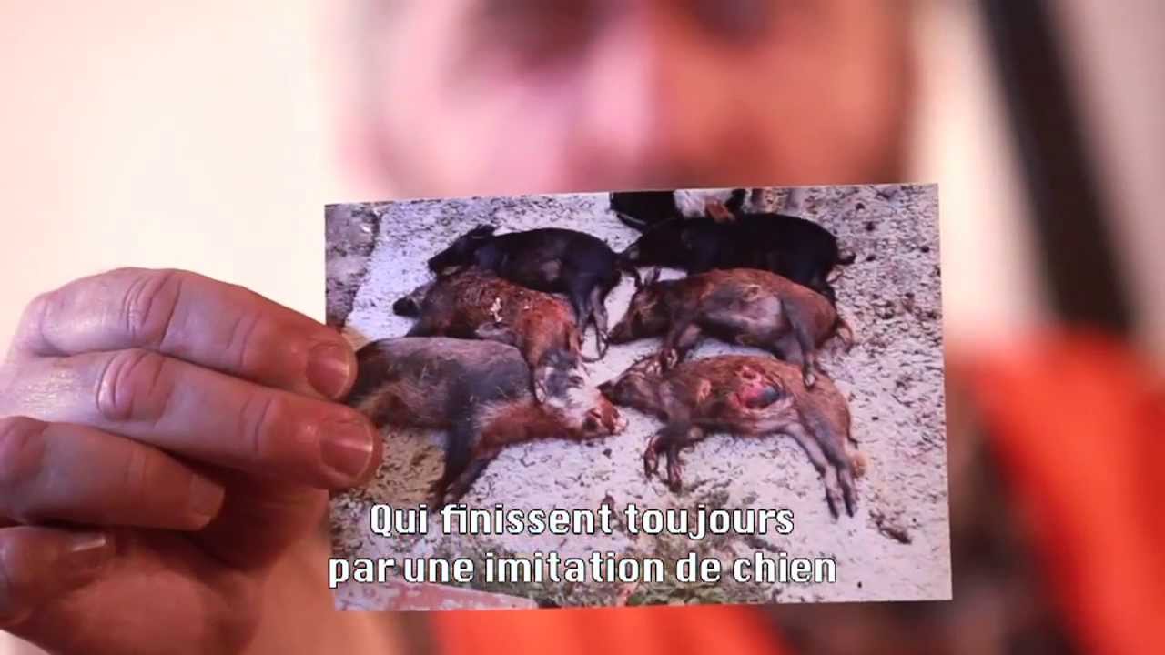 Facciacce - U cacciadore