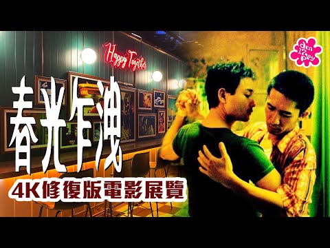 [開口白日夢] 張國榮梁朝偉 | 春光乍洩4k修復版電影展覽