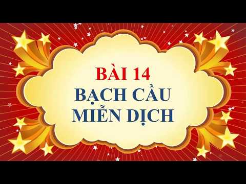Video Sinh học lớp 8 - Bài 14 - Bạch cầu -  miễn dịch - youtube