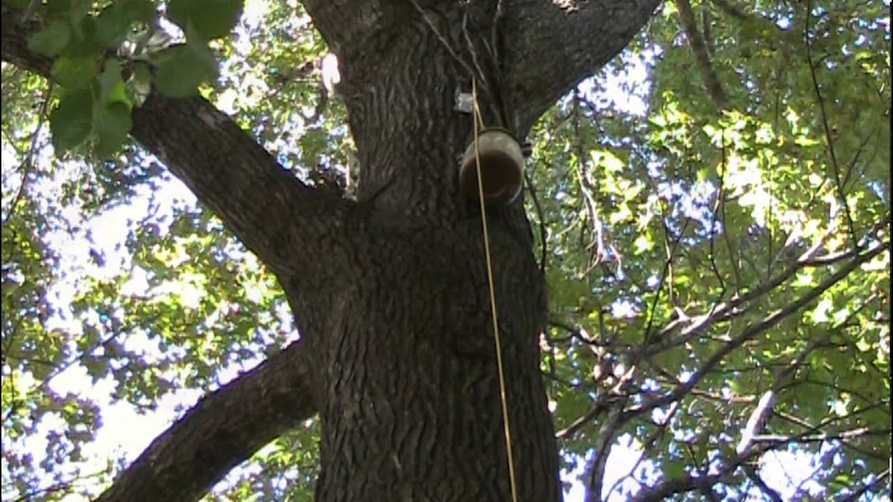 GeoSnippits Geocaching Videos - Lost Episode - Lets Go Geocaching