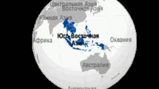 Nomaphila растение для аквариума. Nomaphila растение для аквариума.