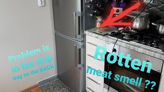 Rotten Meat Smell in The Kitchen ? Clean the Fridge on The Back !