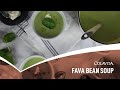 Entrée: Fava bean soup