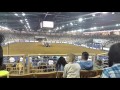 Silver Spurs Rodeo Feb. 19 2016