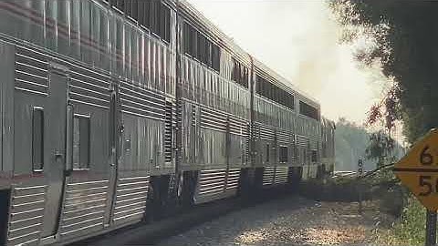 Amtrak crash smashes tree on tracks. Capital Limited 29 Shenandoah Junction WV